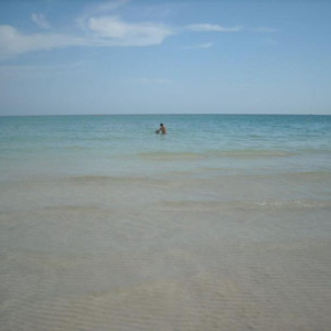DSCN1210
