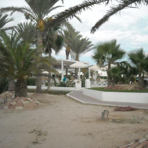 DSCN1239
