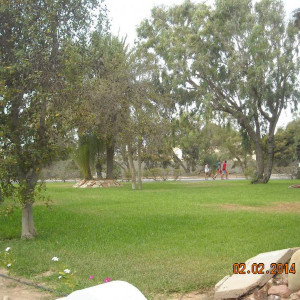 DSCN1367