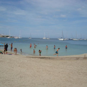DSC04271