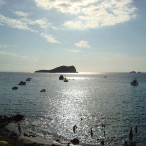 DSC04395