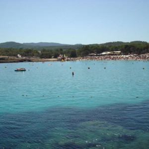DSC04411