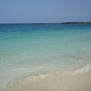 DSC04651.JPG
