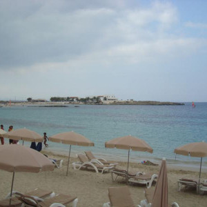 DSC04665.JPG