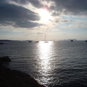 DSC04775.JPG