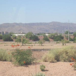 IMG 0505