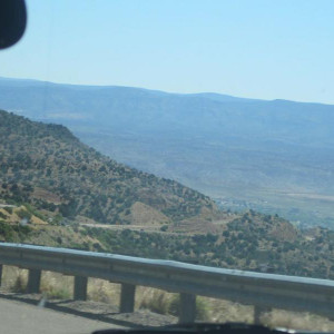 IMG 0543
