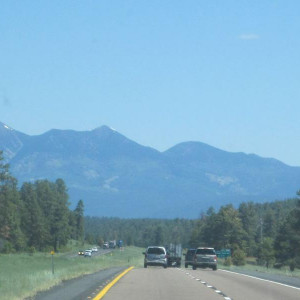 IMG 0549