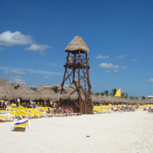 IMG 0994