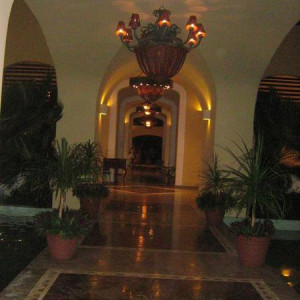 IMG 0454