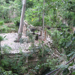 IMG 0721