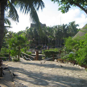 Xel-há