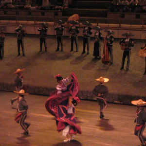 IMG 0855