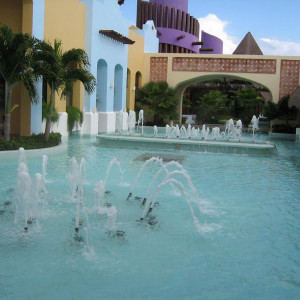 IMG 0218