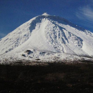 Pico com Neve