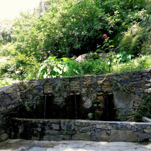 DSC04432Argiroupoli