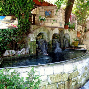 DSC04433Argiroupoli