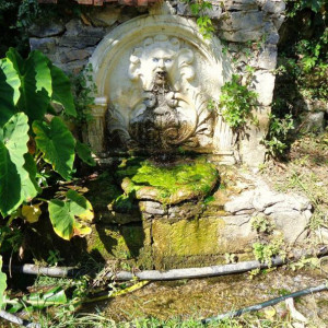 DSC04475Argiroupoli.JPG