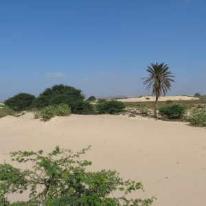 IMG 0792 (Copiar)