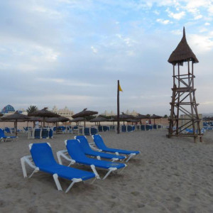 IMG 0681 (Copiar)