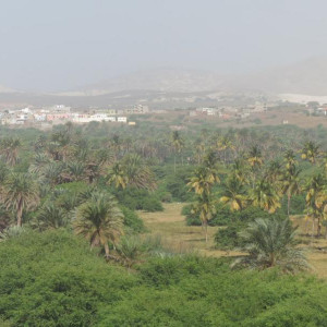 IMG 0949 (Copiar)