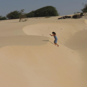 IMG 0985 (Copiar)