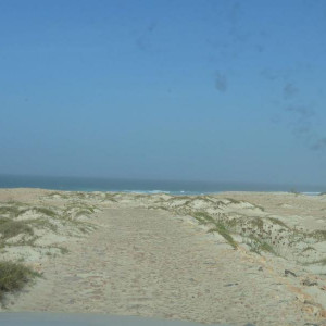 IMG 1003 (Copiar)