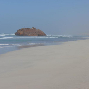 IMG 1017 (Copiar)