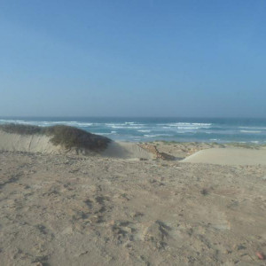 IMG 1040 (Copiar)