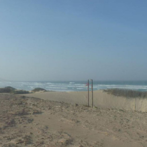 IMG 1041 (Copiar)