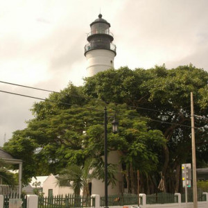 Miami (50)
