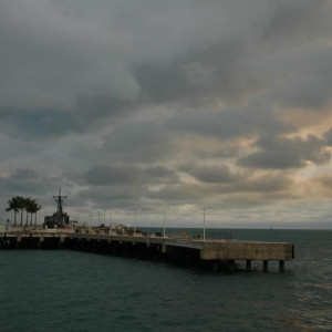 Miami (151)
