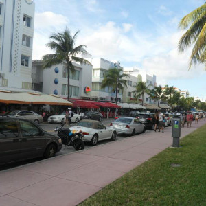Miami (562)