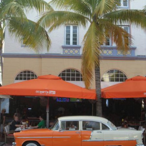 Miami (591)