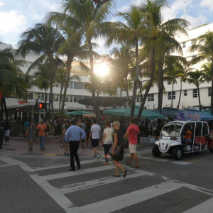 Miami (594)