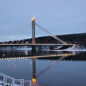 IMG 7915