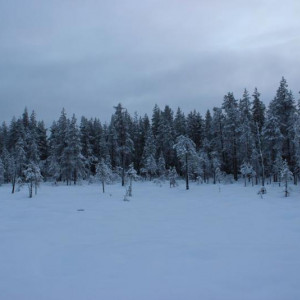 IMG 7949