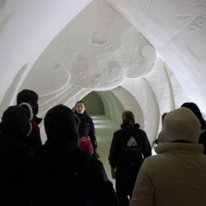 IMG 8733