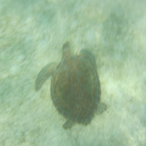 IMG_1952.JPG