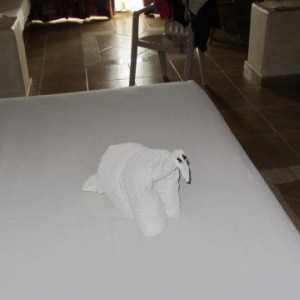 IMG_1998.JPG