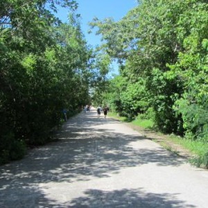 IMG_2044.JPG