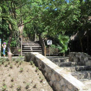 IMG_2046.JPG
