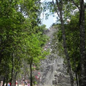 Cobá