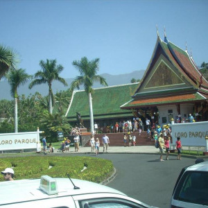 DSCN0102.JPG