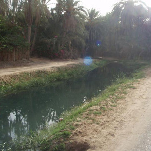 P1010473