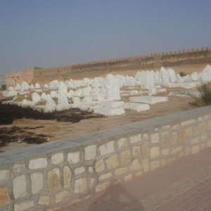 P1010619