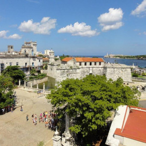 DSC00559