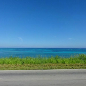 DSC00738