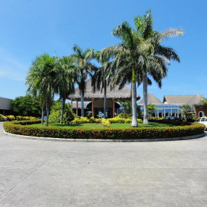 DSC00994