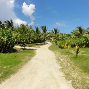 DSC01230